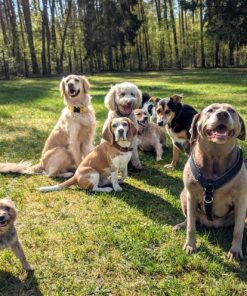 Guardería - Día de prueba