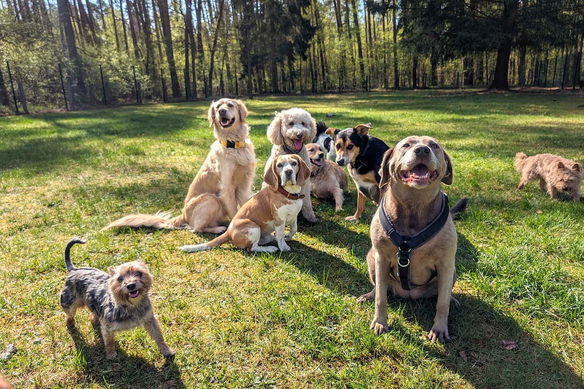 Guardería - Día de prueba