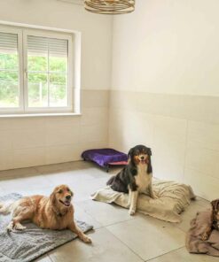 Alternative view of Guardería - Día suelto