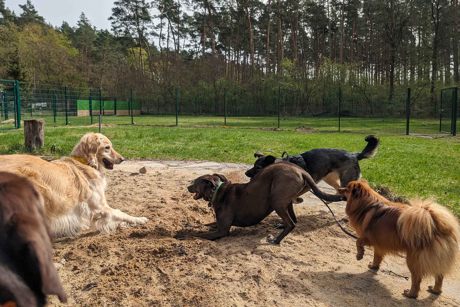 Guardería - Día suelto - Imagen 6