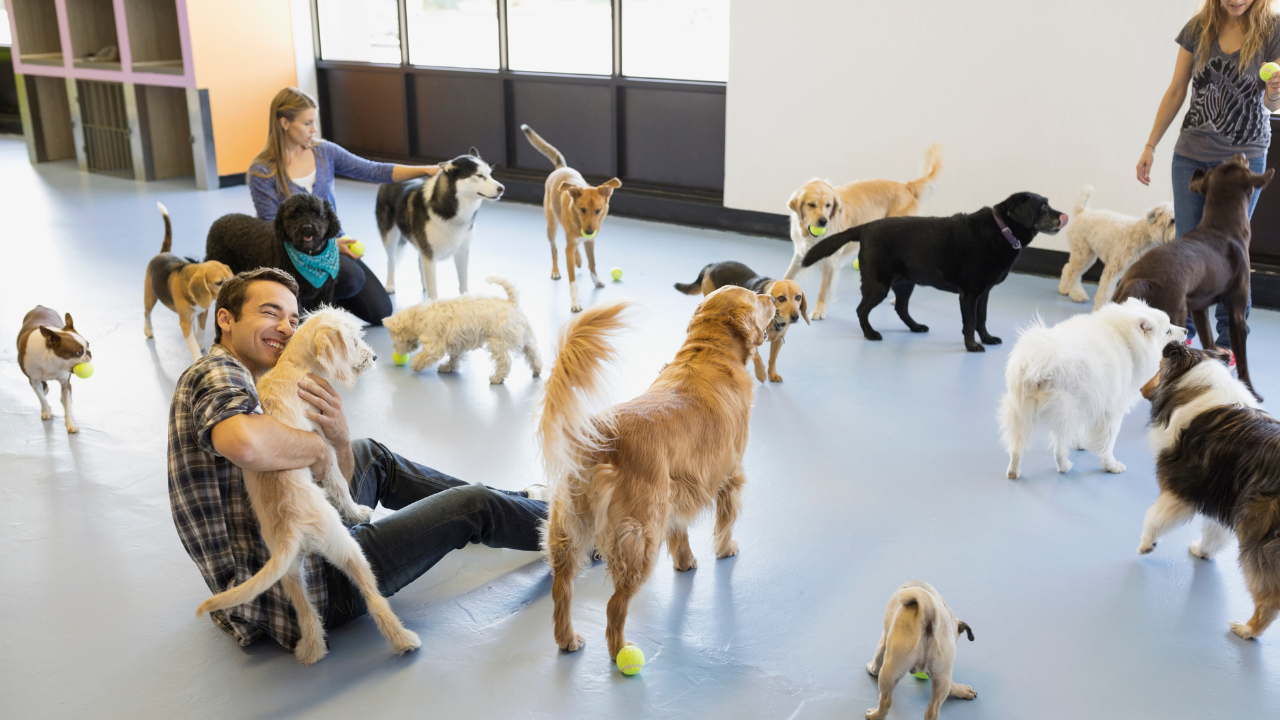 Guardería - Día suelto