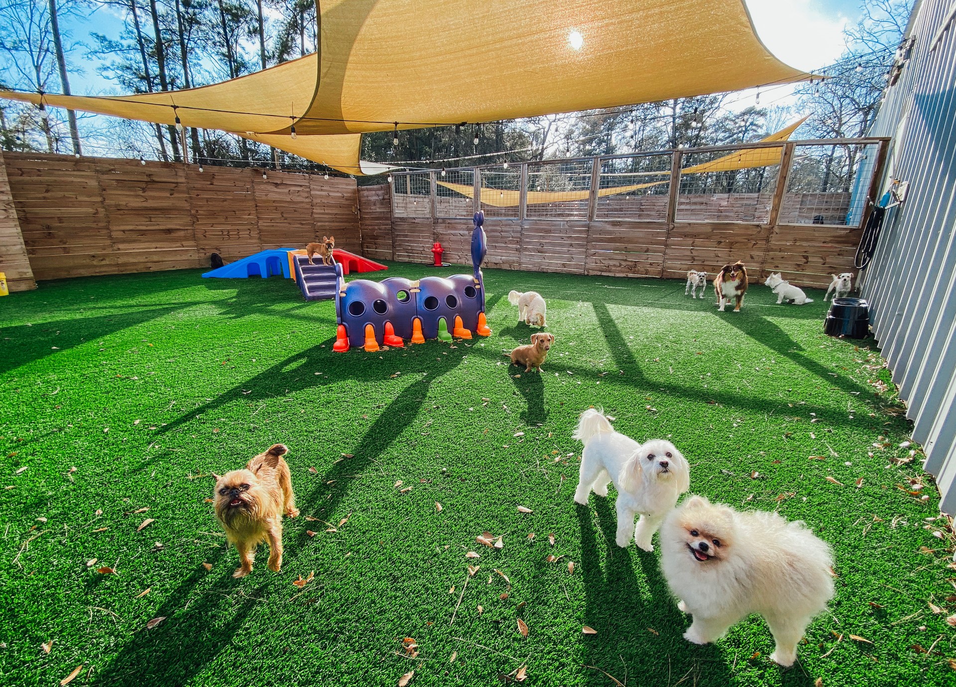 Guardería - Día suelto - Imagen 5