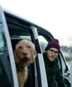A man with a dog in a van outdoors, creating a scene of friendship and travel.