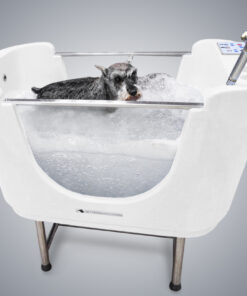 Spa y Ozonoterapia (Mini)